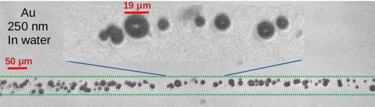 Au
          nanoparticles in water